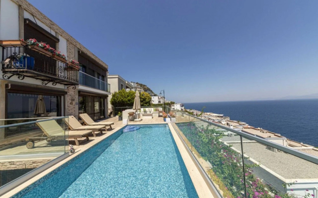 House With Private Pool and Sea View in Bodrum