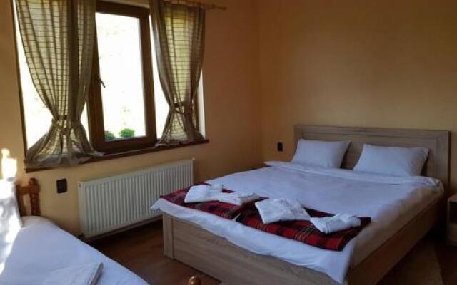 Guest House Bor