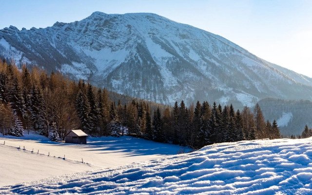 Das Haus am Berg: Nestelberg17