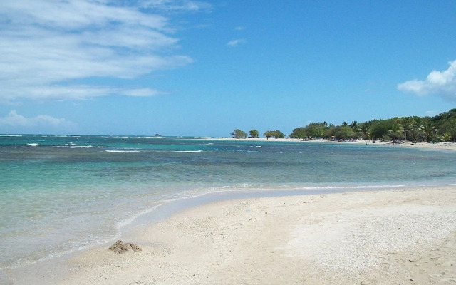 Reina Del Mar