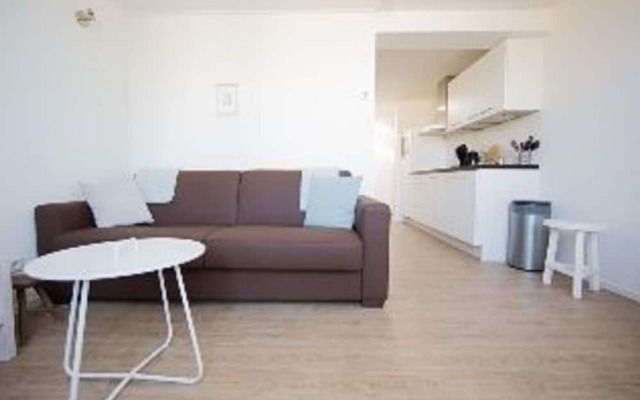 Cozy Apartment With a Roof Terrace, on Isle Schiermonnikoog