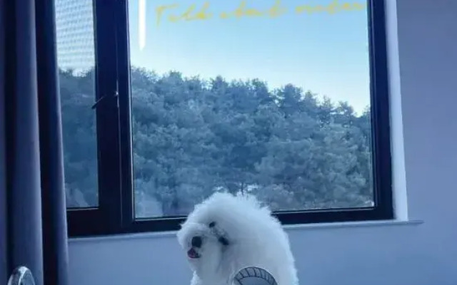 Yishan Yitian Homestay