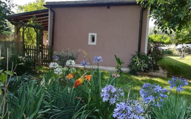 Apartman "Almond house 2"