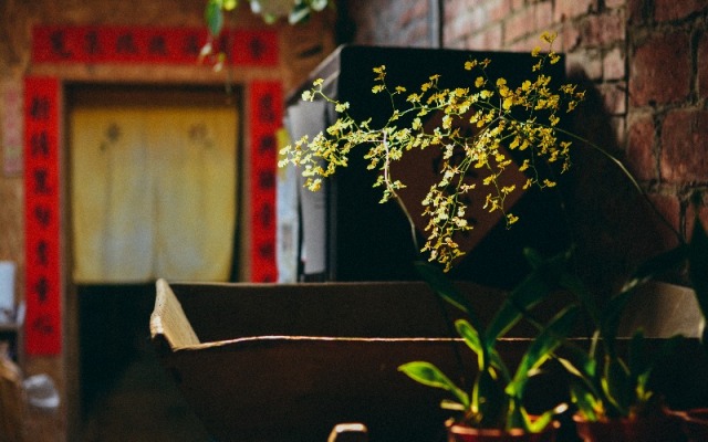 67 Old Street Backpacker Hostel