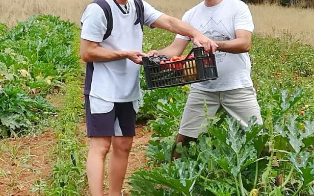 Masseria Fracchicchi