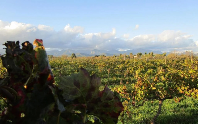 Finca Hotel Consinet