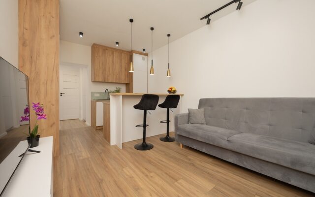 Apartment Majzela Łódź by Renters