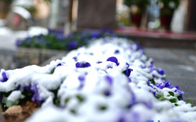 Zhangjiajie Zhiyin Homestay