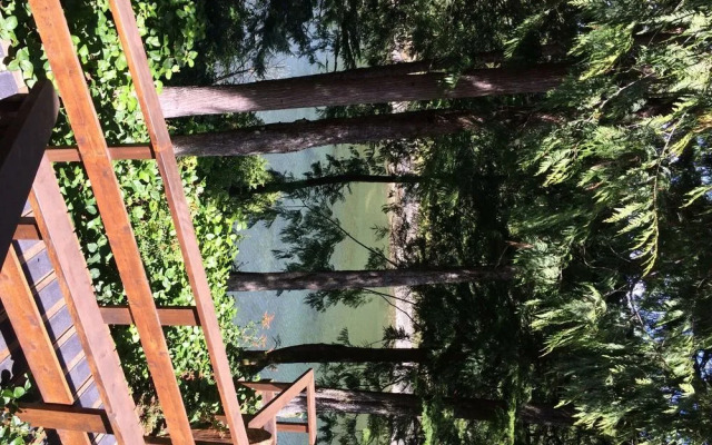 Wild Pacific Waterfront Cabins