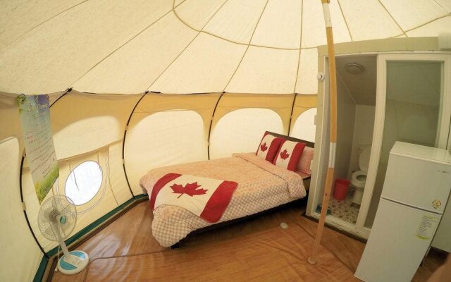 Pine Tree Camping
