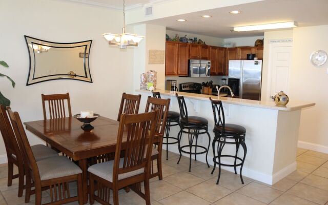 Emerald Dolphin by Surfside VR