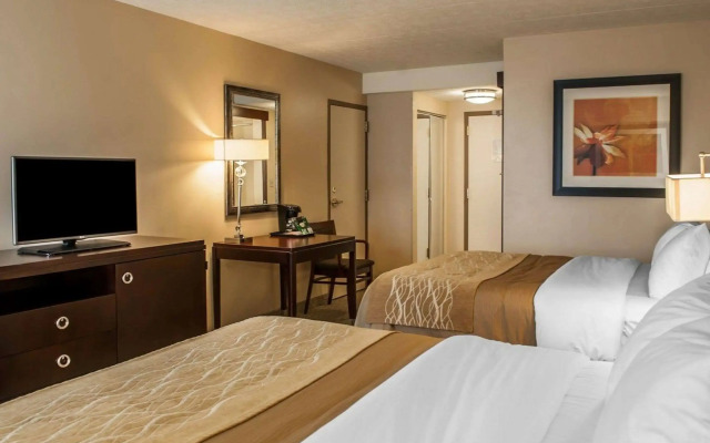 Comfort Inn Bloomington near University - фото 4