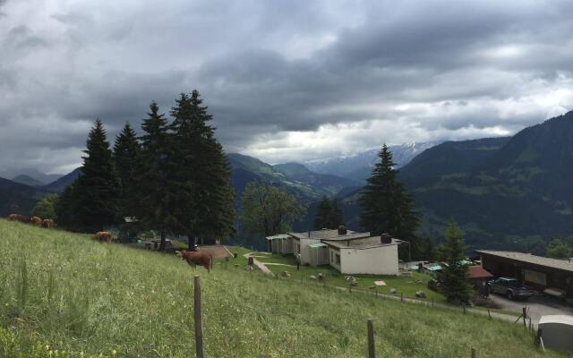 Leysin Lodge