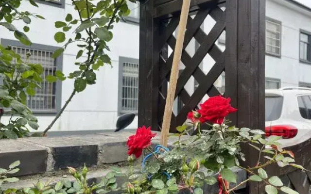 Tian Yunju Homestay