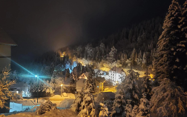 Villa Kostic Kopaonik