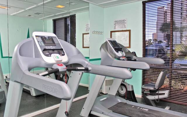 Shoalwater 903 by Youngs Suncoast