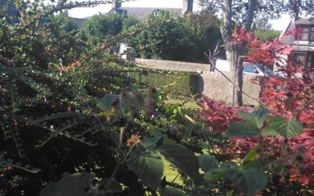 Granville guest house