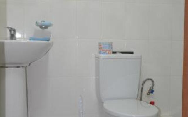 Guest house on Parkovaia 10