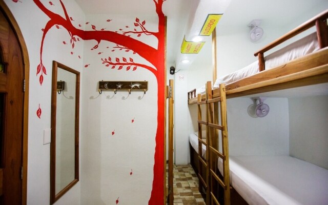 Hostel Natura
