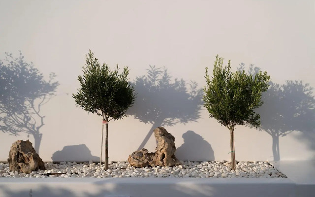 Castello Amorgos Suites