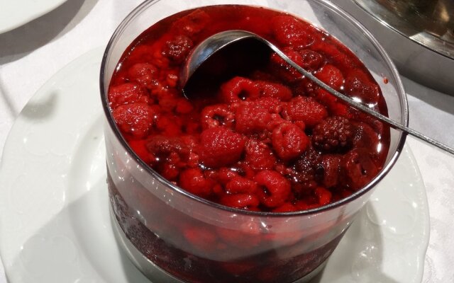 Garni Hotel Concordia