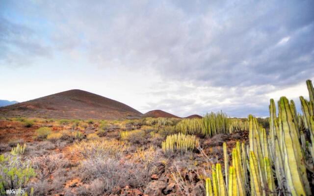 Naturaleza Viva