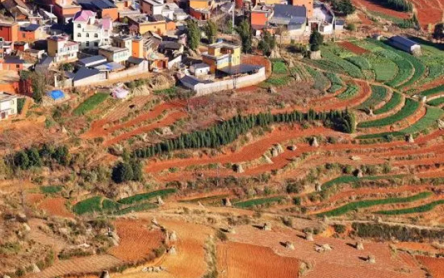 Red Land Wangcai Resort