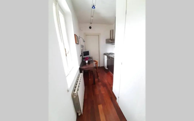 The Ivy House in the Castle