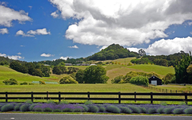 Sugarloaf Lodge