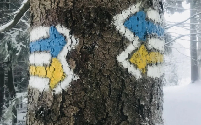 Cozy Holiday Home in Gürth With Private Garden