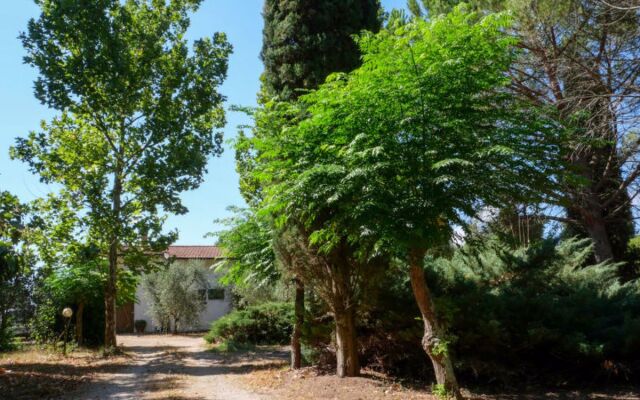 House Calvello Roselle