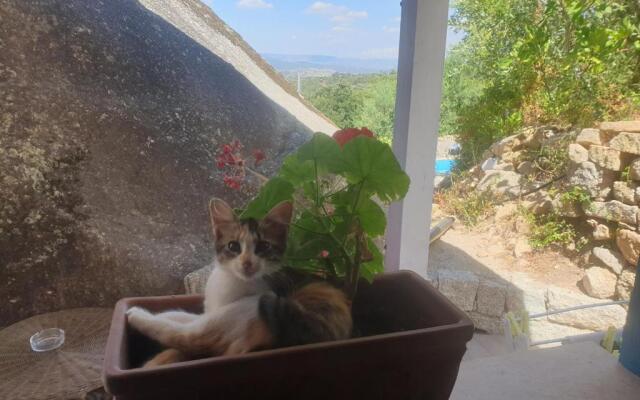 B&B Tiscali