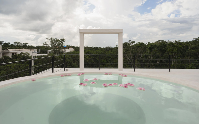 Seremonia Studios by Soyrumi