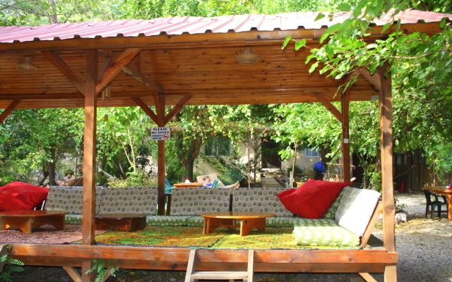 Saban Tree Houses