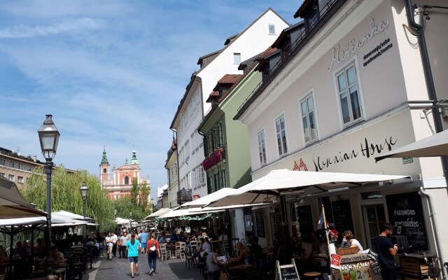 Apartments and rooms Meščanka