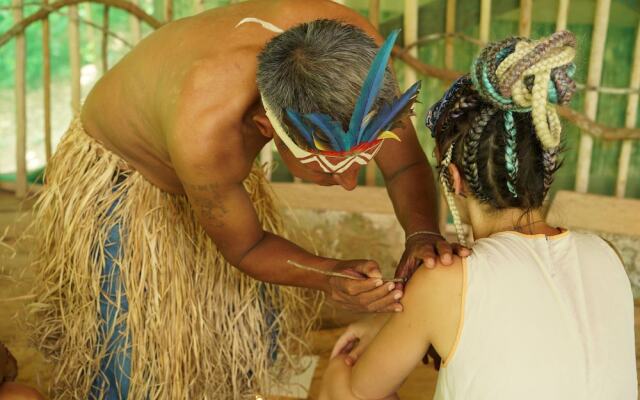 Shapshico Lodge Ayahuasca