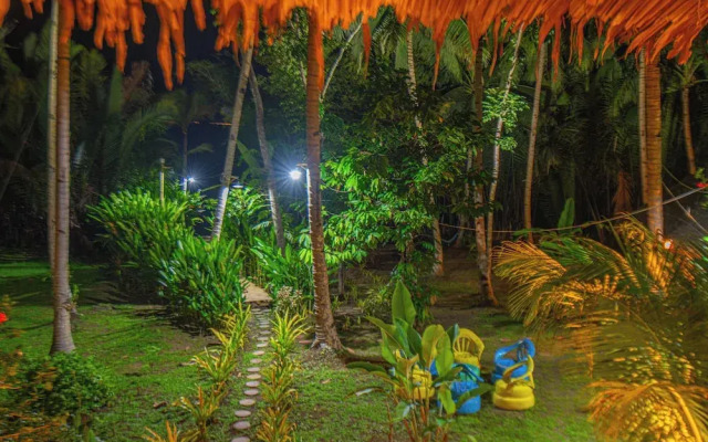 Water To Forest Ecolodge