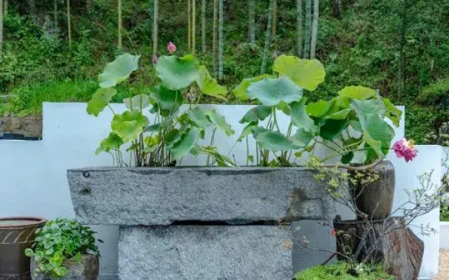 Summer Falls Homestay in Xiazhuang