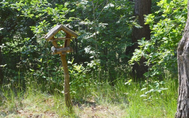 Detached holiday home with sauna large garden&covered terrace