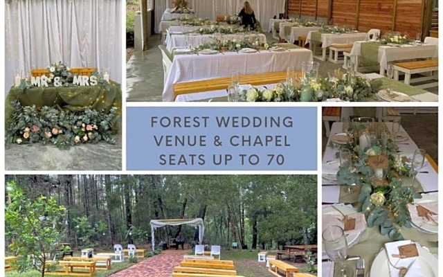 Plett Forest Cabins