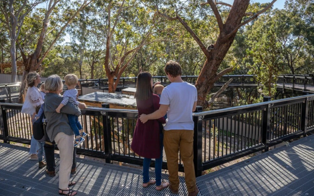 Port Stephens Koala Sanctuary