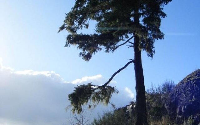 Orca View Cottage
