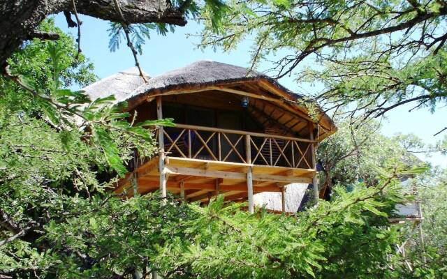 Marcs Treehouse Lodge