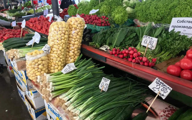 Modern Studio 20 Meters from Mladost 1 Metro Station