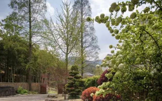 Yingwuxin Boutique Hostel Mount Mogan