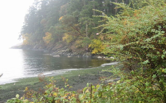 The Lodge at Weir's Beach