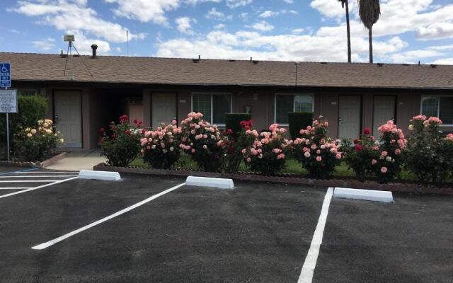 Maple Inn & Suites