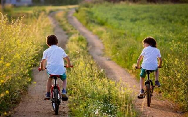 Ferienhaus Zirchow 2