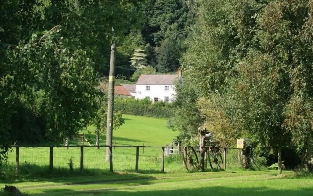 The Piggery