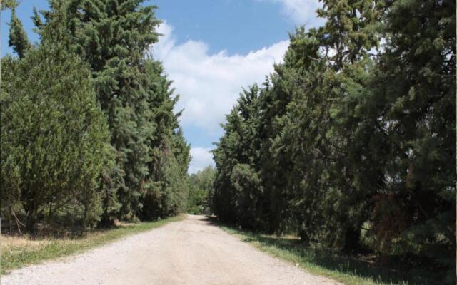 Granaio Biada In Fattoria Con Piscina